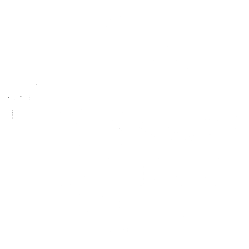 Guias de Turismo Sustentable