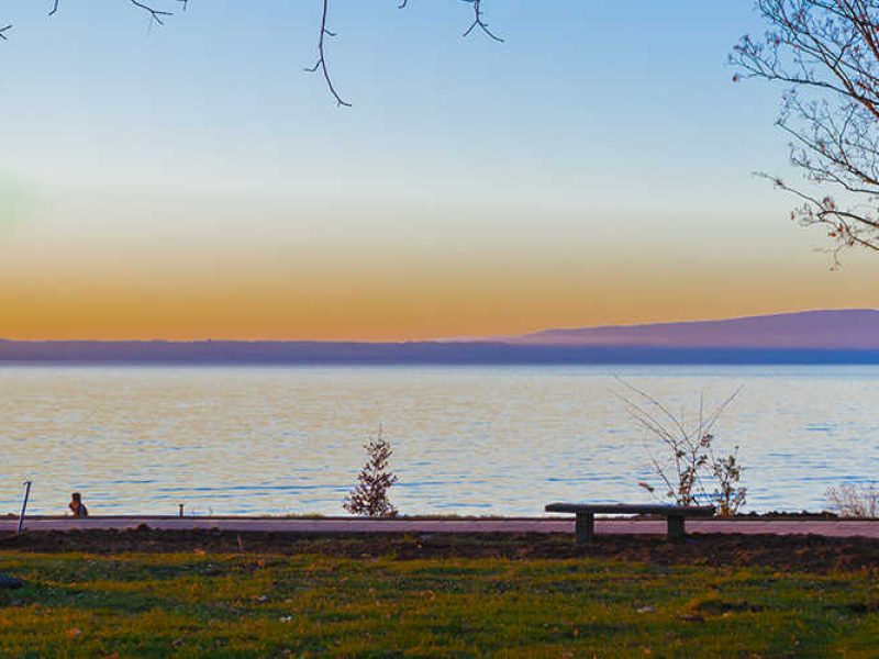 Head-Sustentabilidad